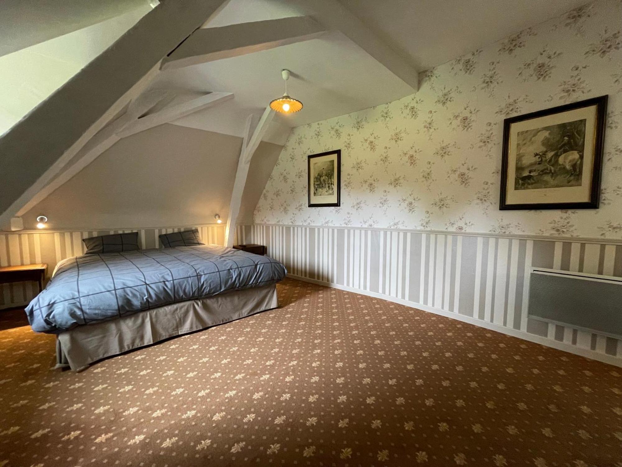 Château De La Coutancière - Hotel Brain-sur-Allonnes Esterno foto