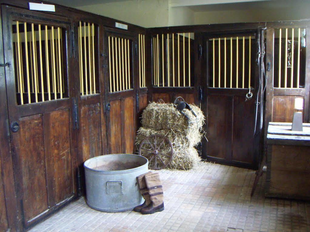 Château De La Coutancière - Hotel Brain-sur-Allonnes Esterno foto